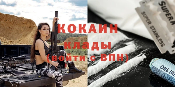 шишки Алзамай
