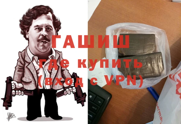 стаф Алексин