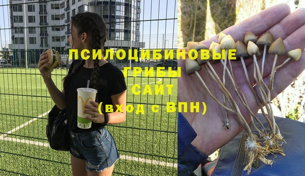 кристаллы Алексеевка
