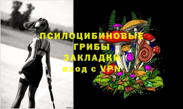 apvp Аркадак
