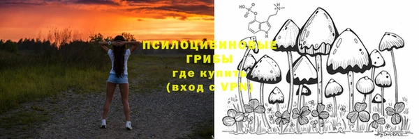 стаф Алексин