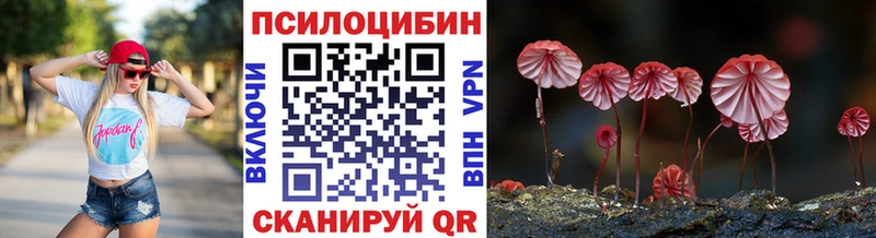 Купить  Петровск  Псилоцибиновые грибы MAGIC MUSHROOMS 